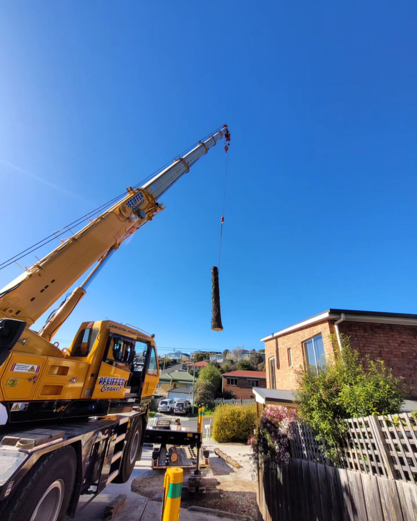 Emergency Tree Services
