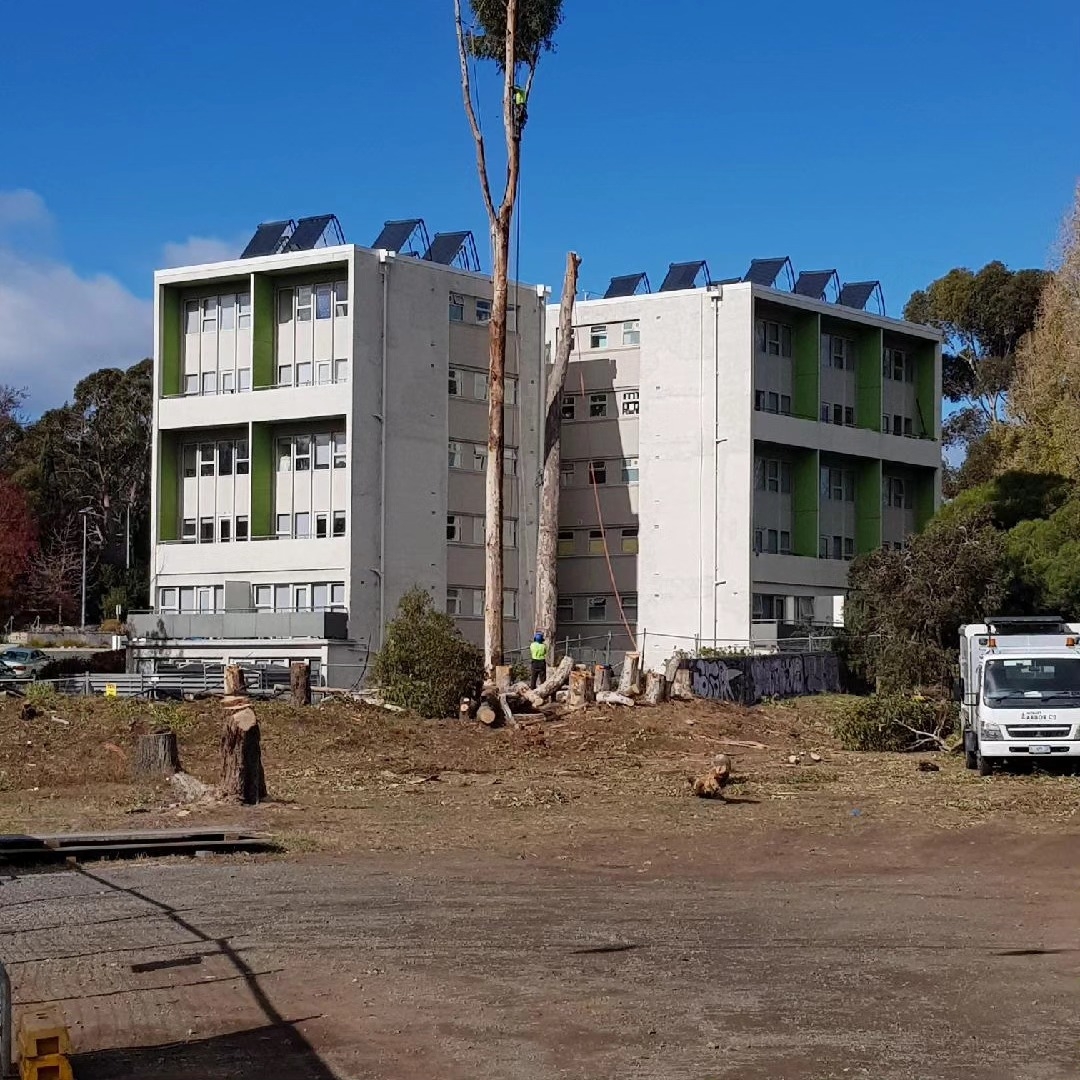 Tree Pruning